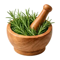 Hairoil_Ingredient_rosemary